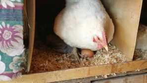 Když se mladí lidé začínají jezdit a proč ne urychlit proces